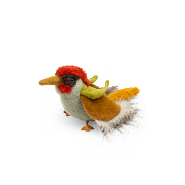 Green woodpecker - All Around the World