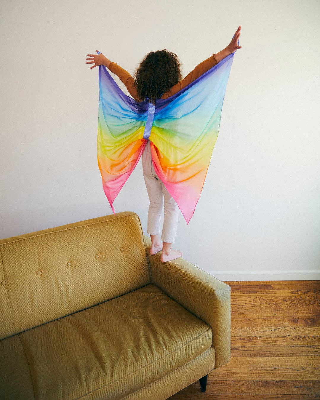 Rainbow Fairy Wings