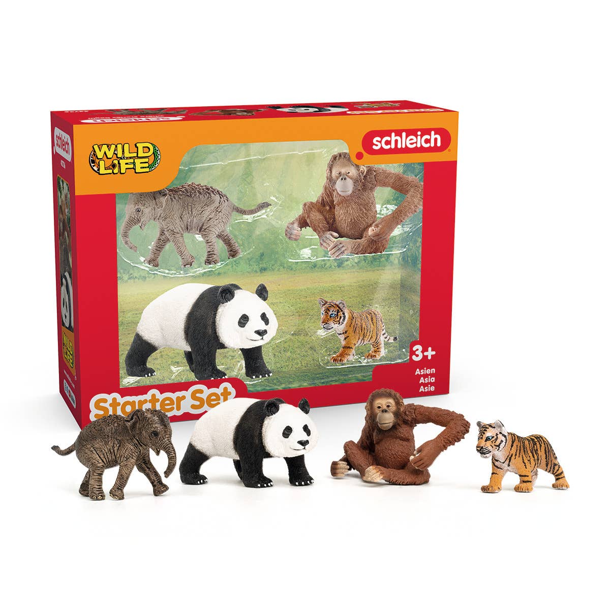 Wild Life Asia Starter Set