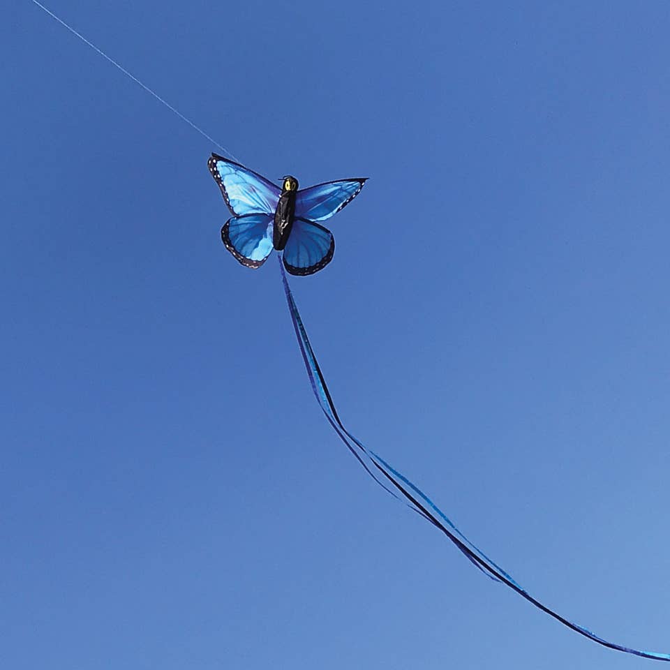 Blue Morpho Butterfly Kite