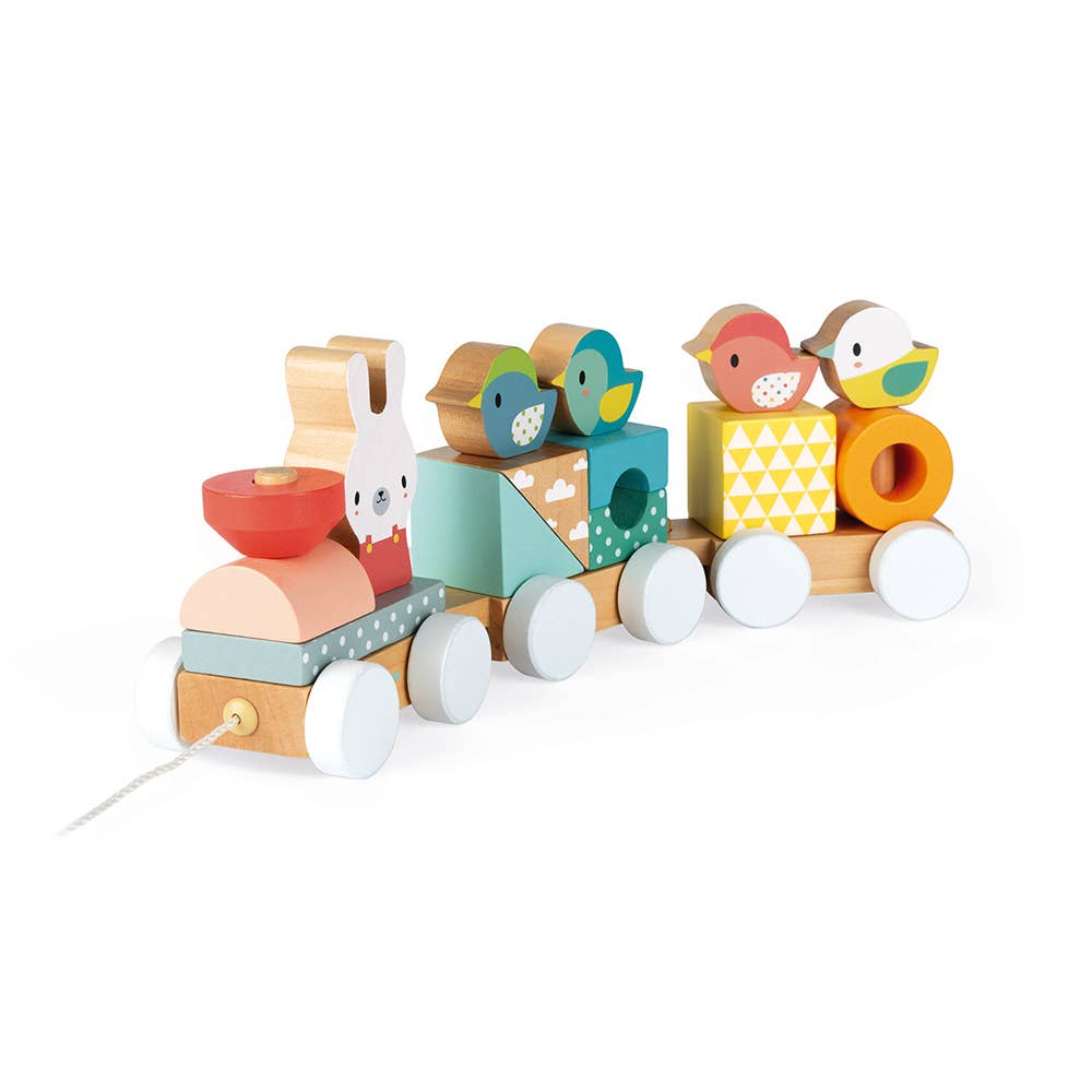 Pure | Train | Pull along | 17 pieces