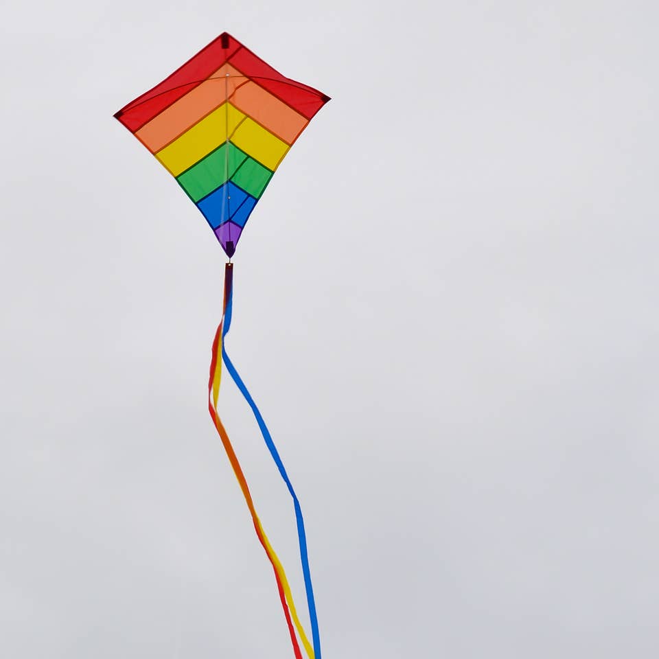 Rainbow Overlay 30" Diamond Kite