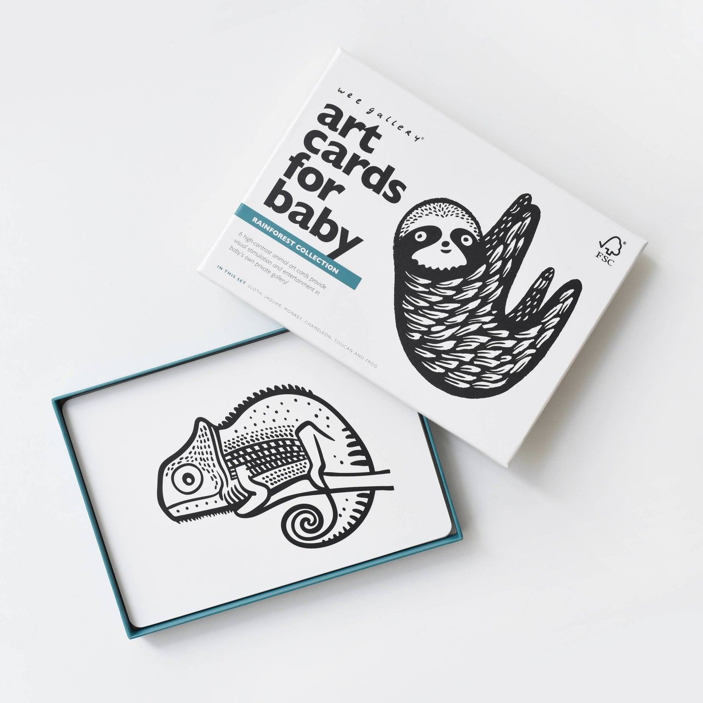 Art Cards for Baby - Rainforest