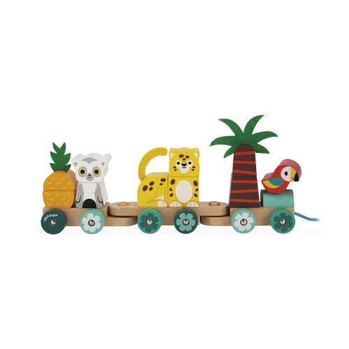 Tropik | Pull Along Train | Stackable Pieces