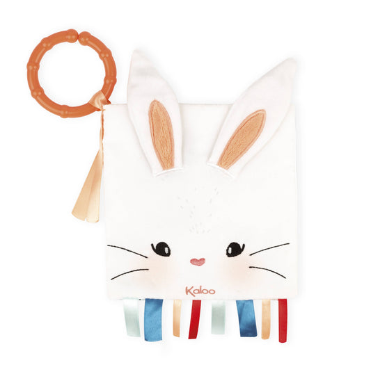 Activity Book: The Rabbit in Love
