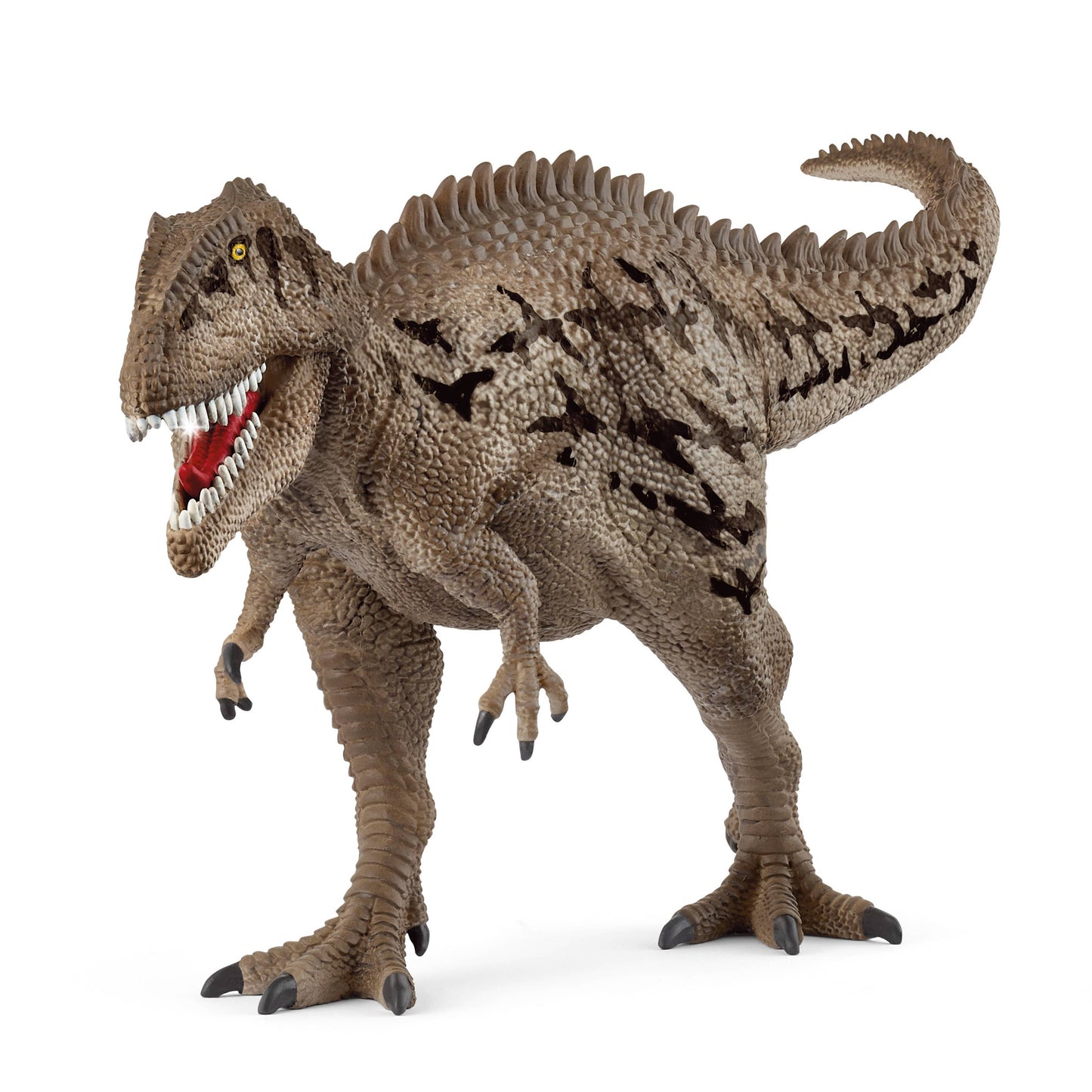 Carcharodontosaurus