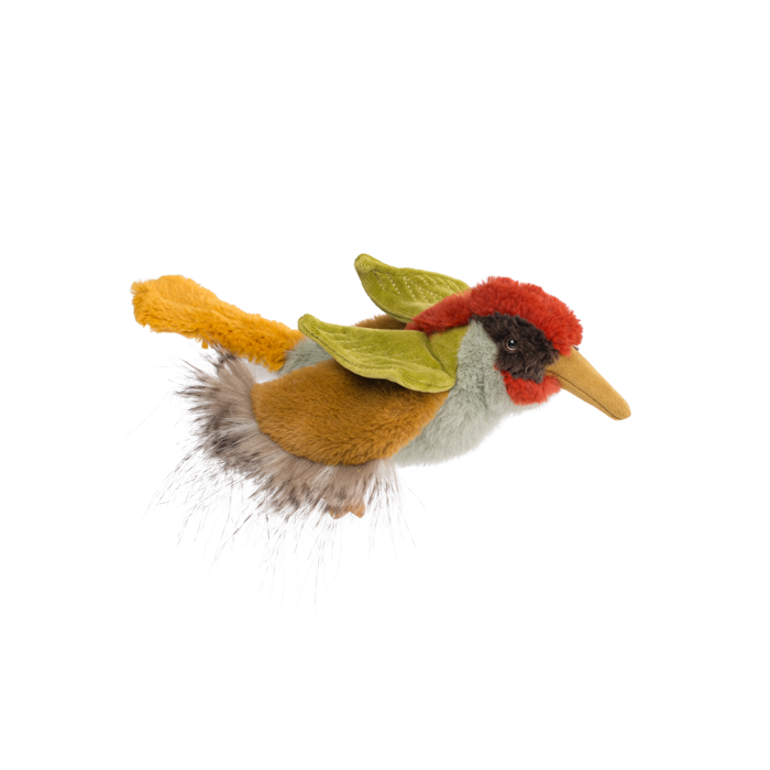 Green woodpecker - All Around the World