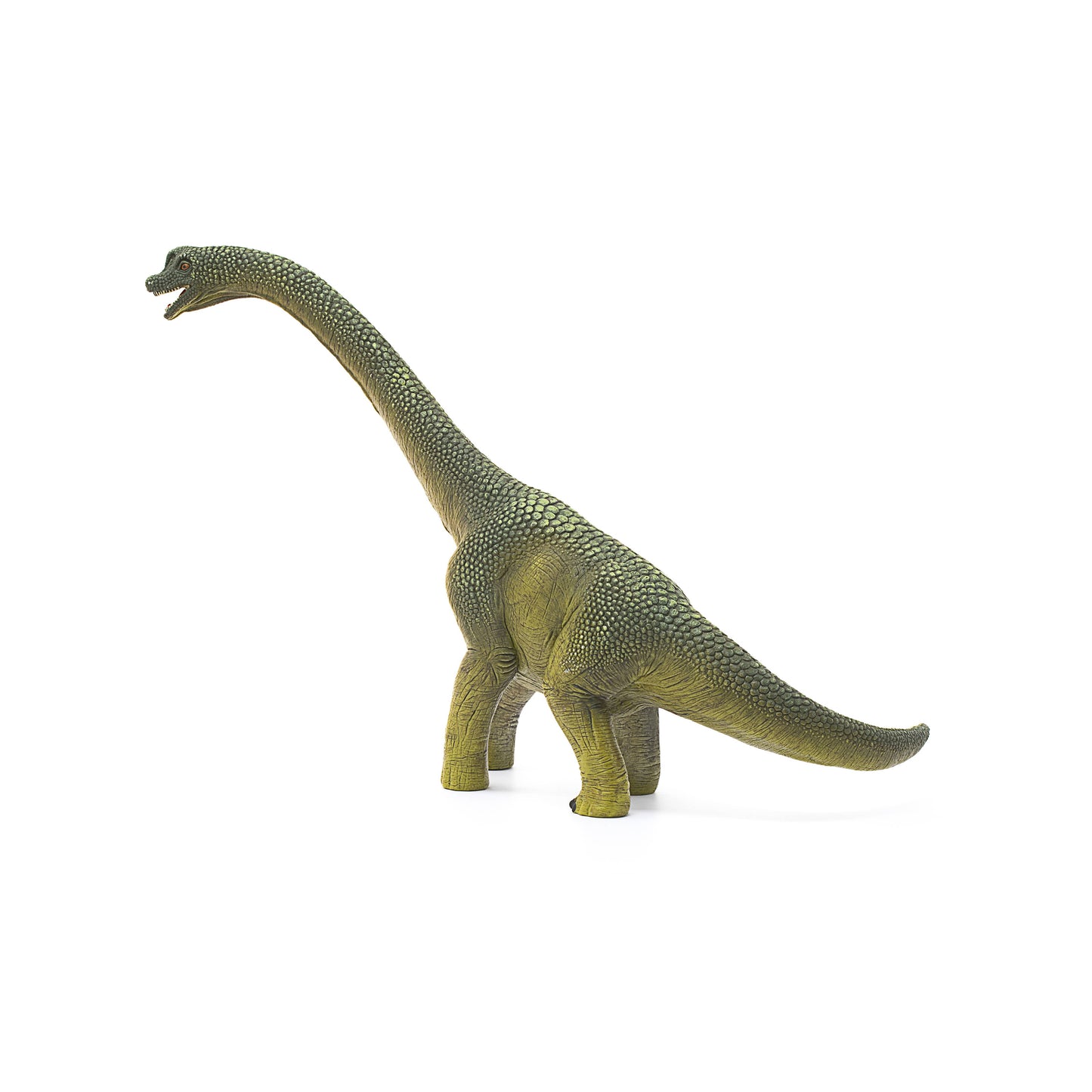 Brachiosaurus