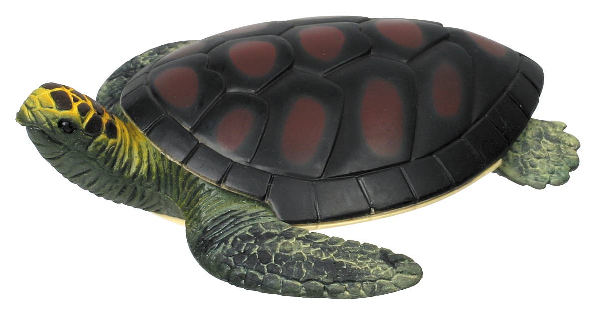 Turtle Squishamal