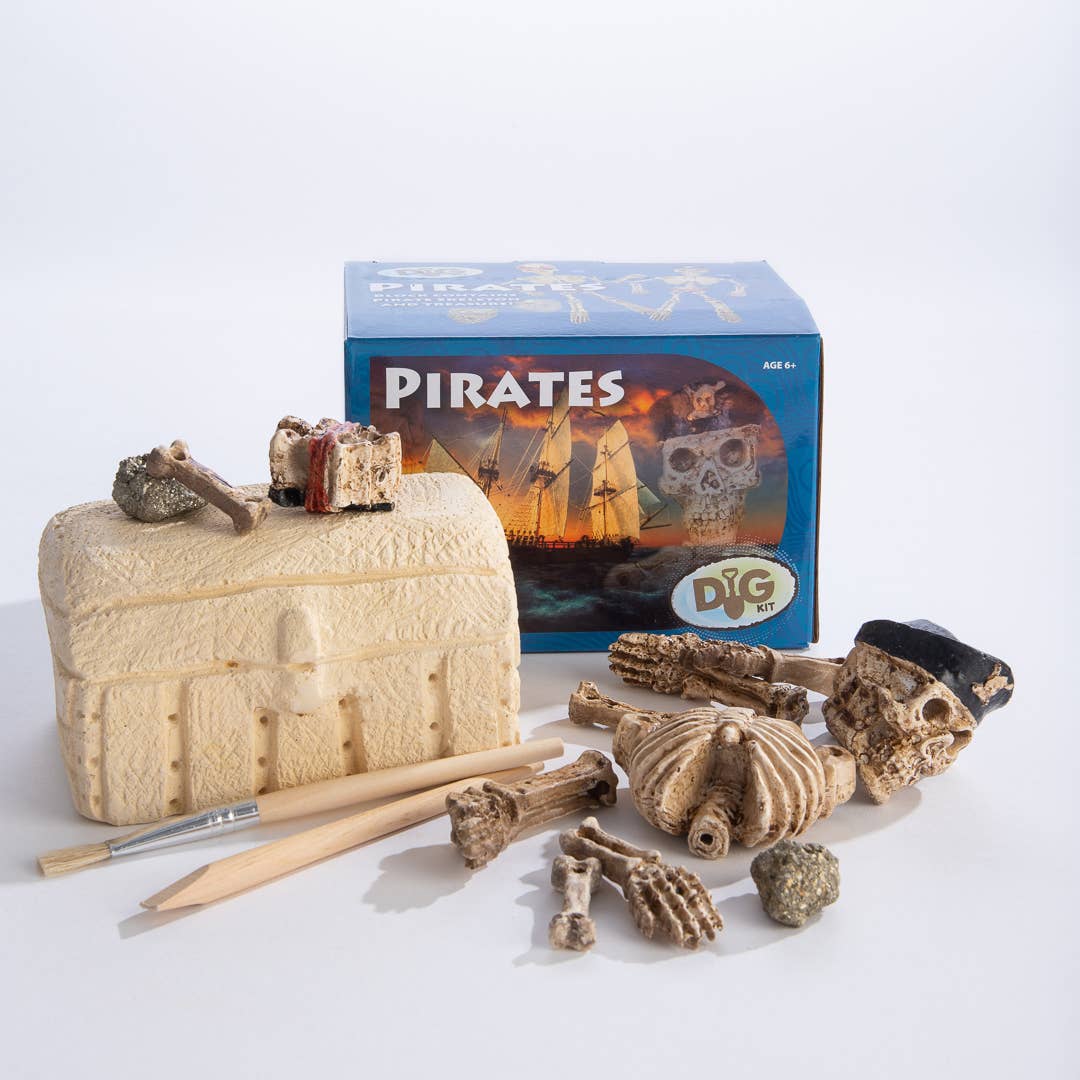 Dig Kit: Pirate Skeleton