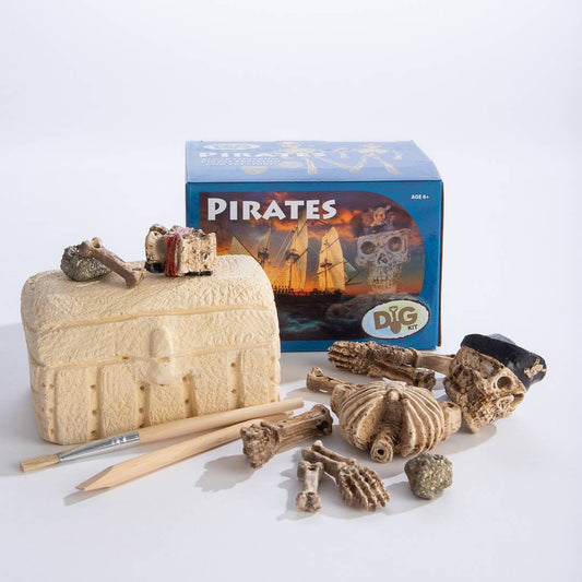 Dig Kit: Pirate Skeleton