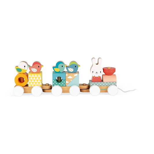 Pure | Train | Pull along | 17 pieces