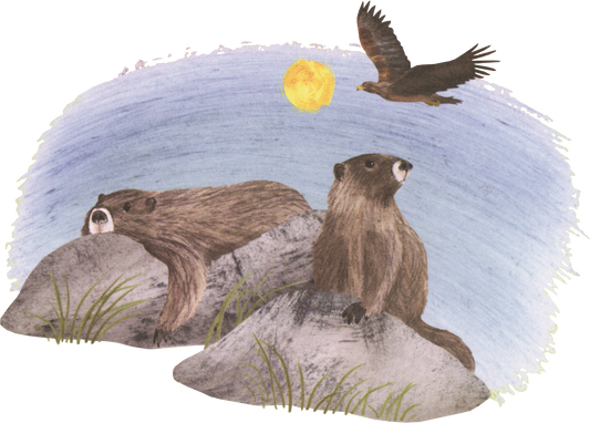 Explore! America's Wildlife