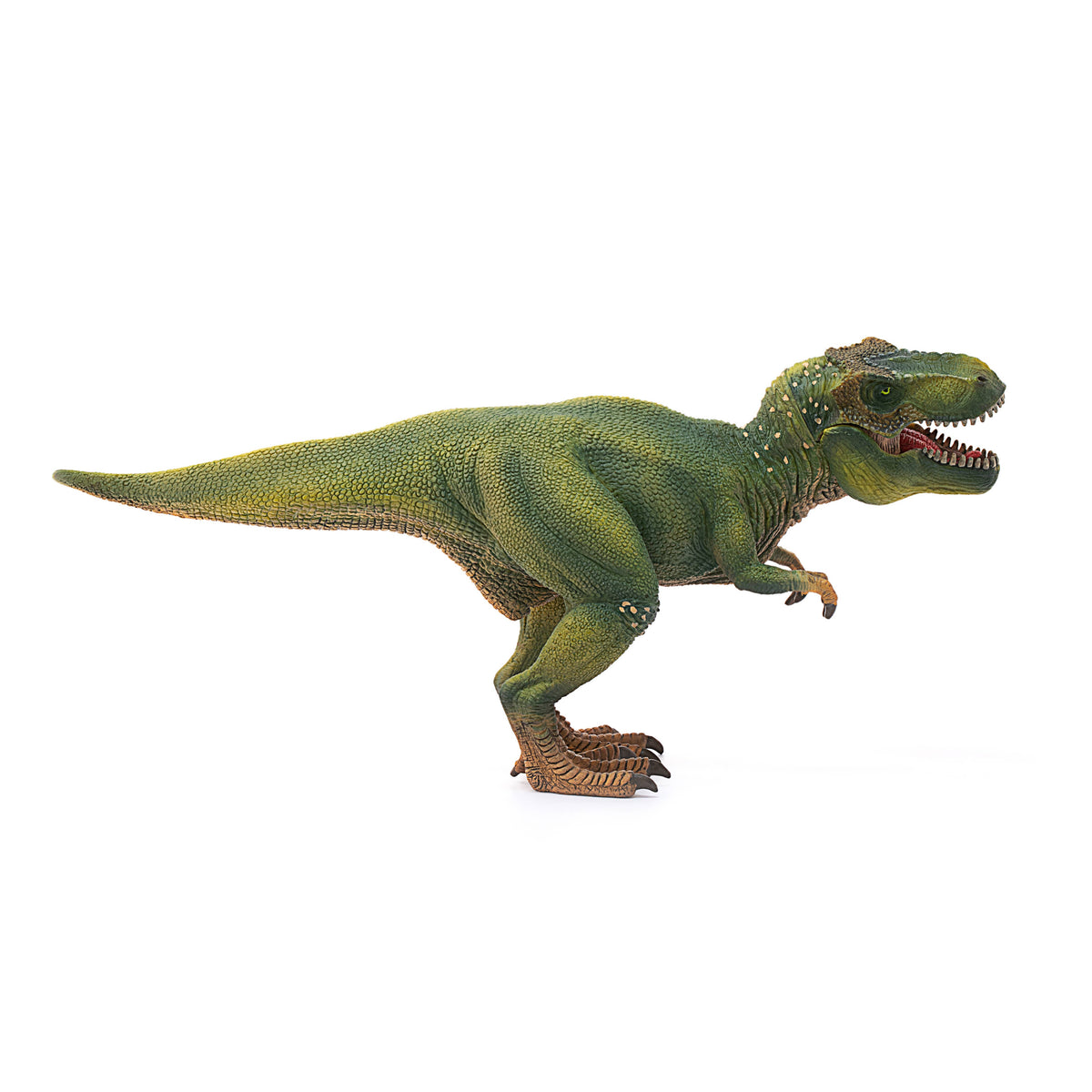 Tyrannosaurus Rex