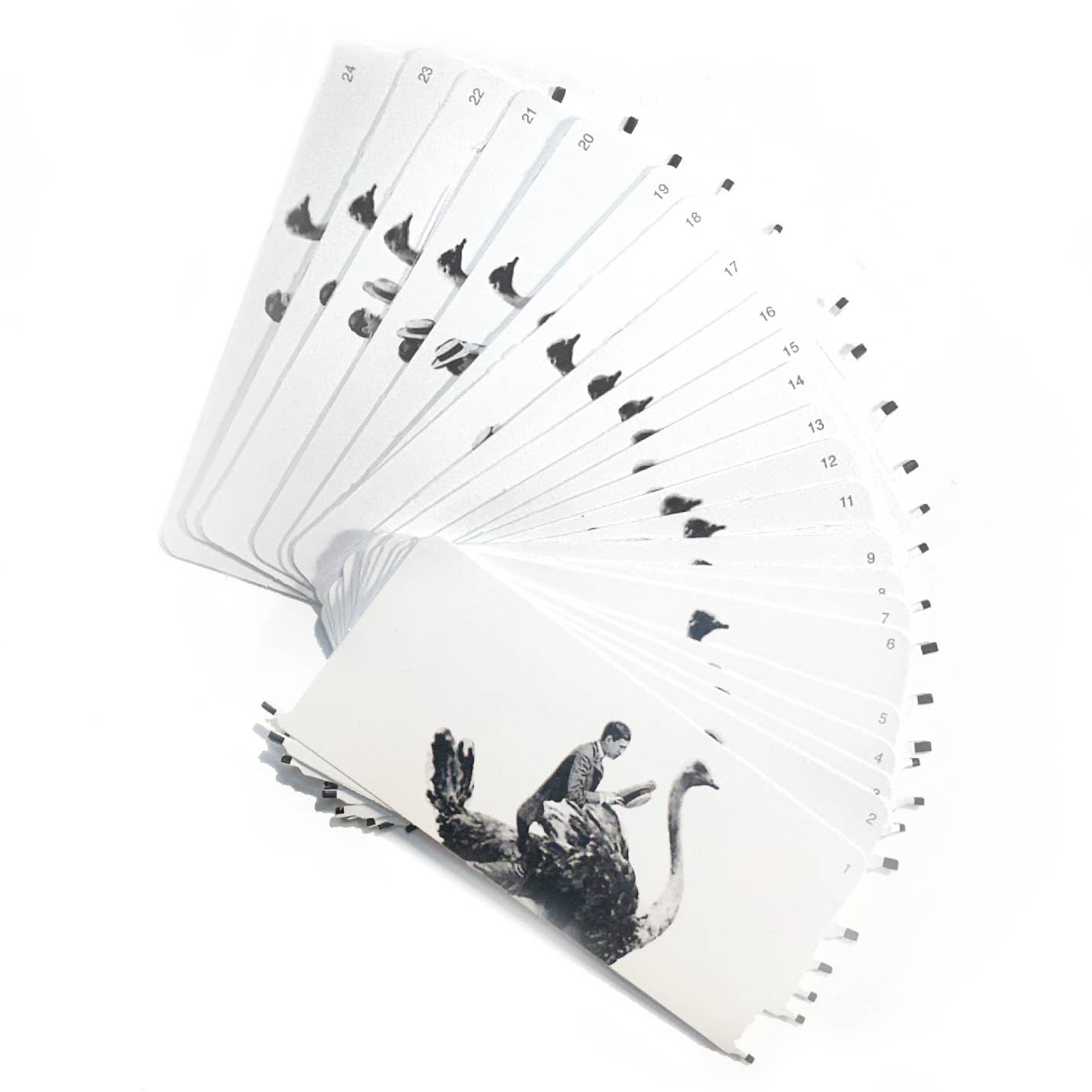 Fliposcope Ostrich - DIY FlipBook Keepsake / Movie Machine