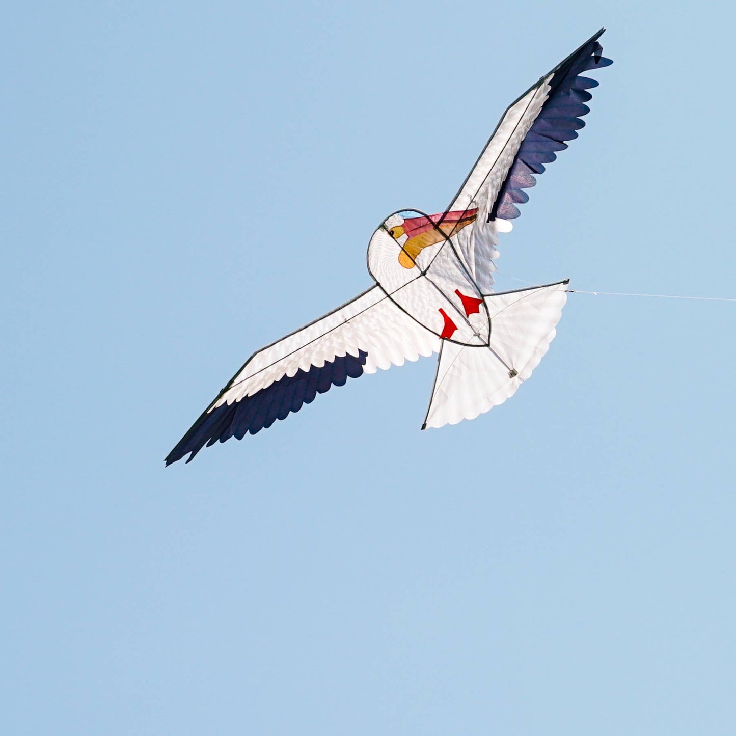 70" Pelican Kite