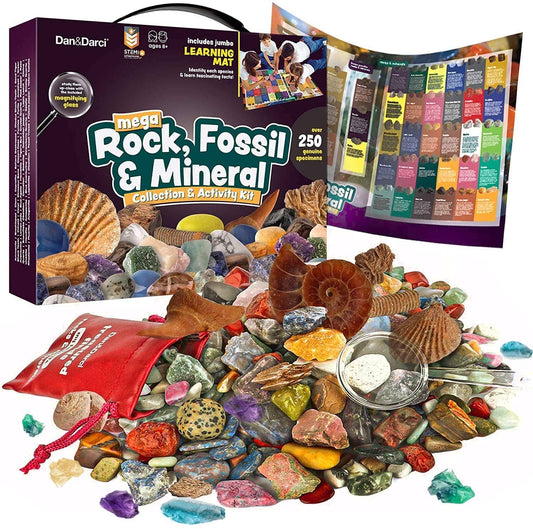 Rock, Fossil & Mineral Collection