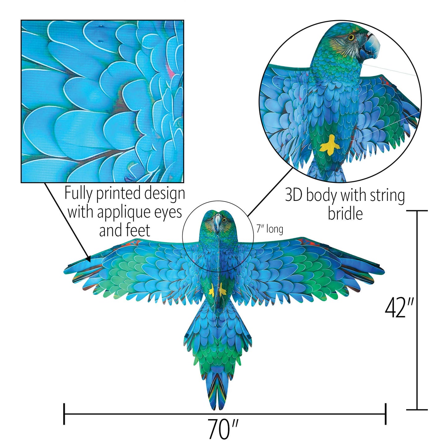 3D Blue Parrot Kite