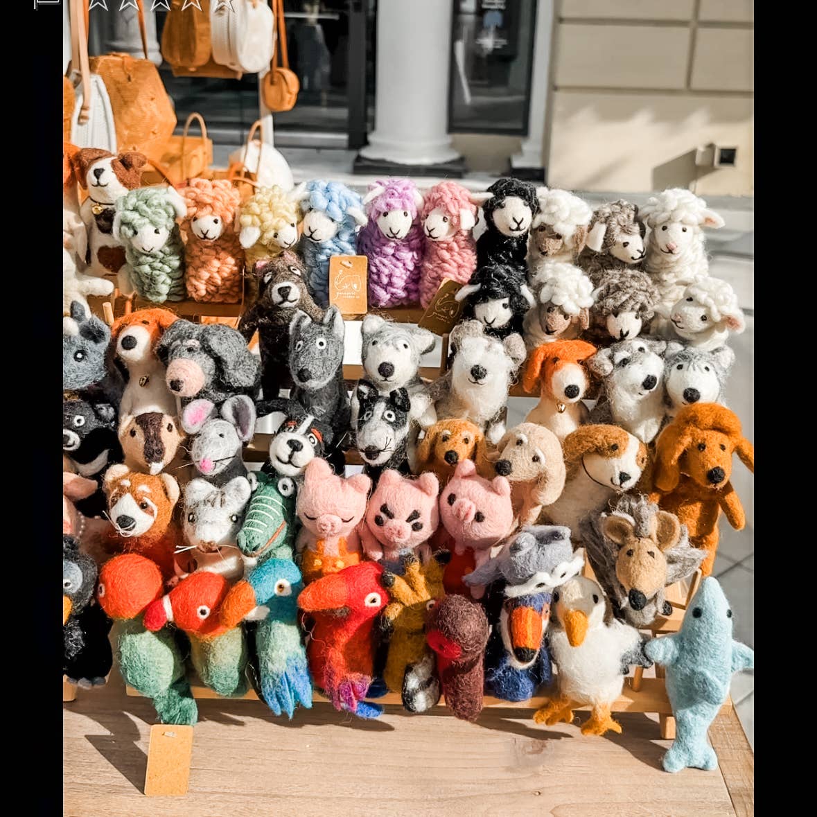 Top-Selling Assorted Finger Puppets: 60 Pcs + Display Shelf