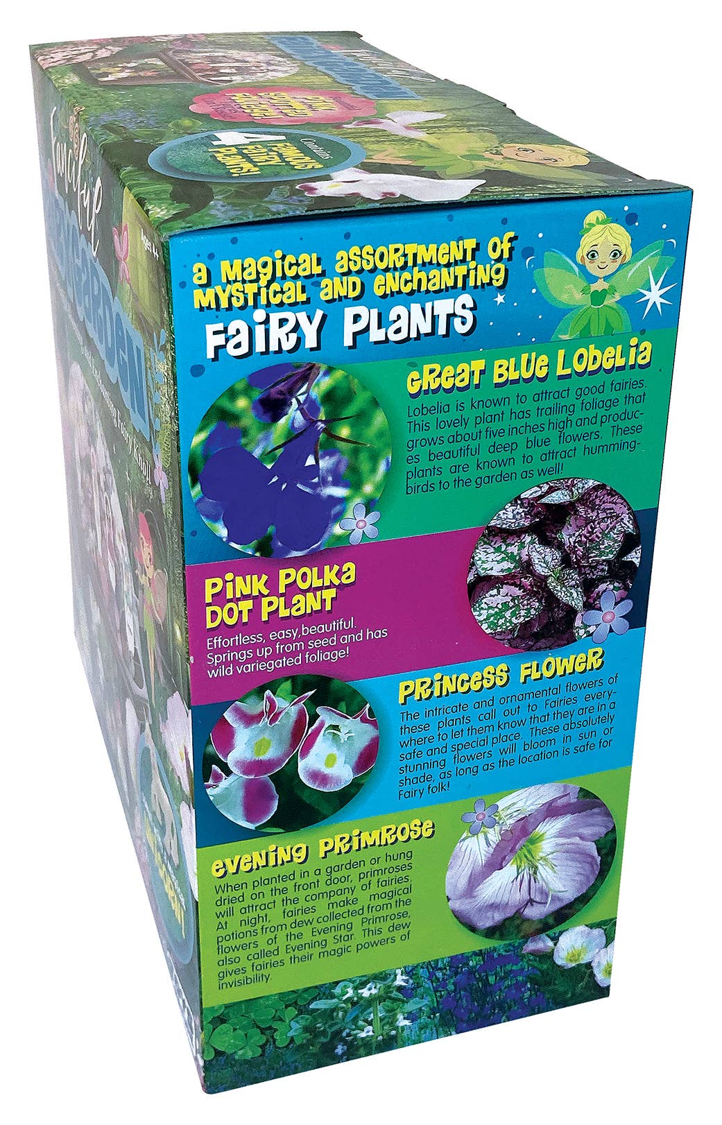 Fanciful Fairy Garden Biosphere