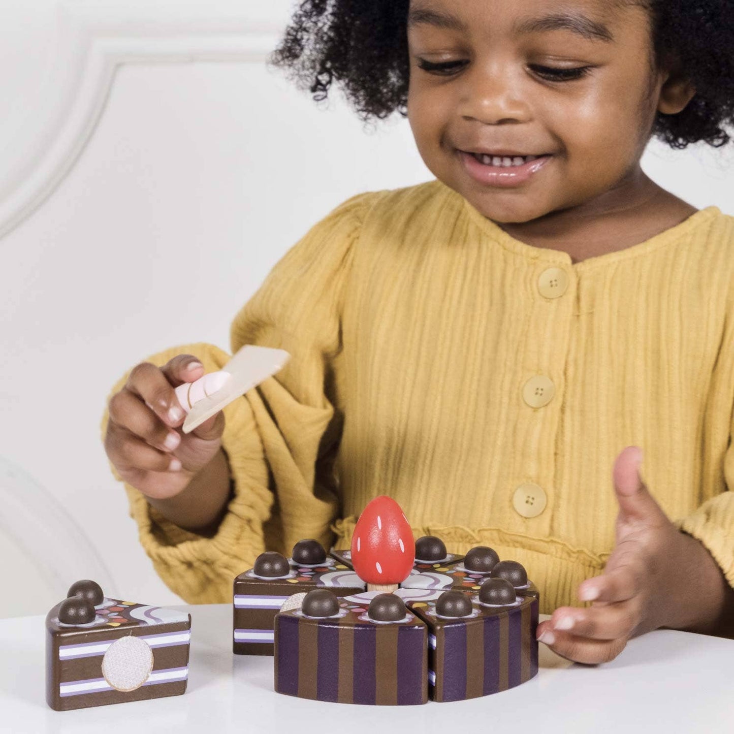 Chocolate Gateau Sliceable Cake