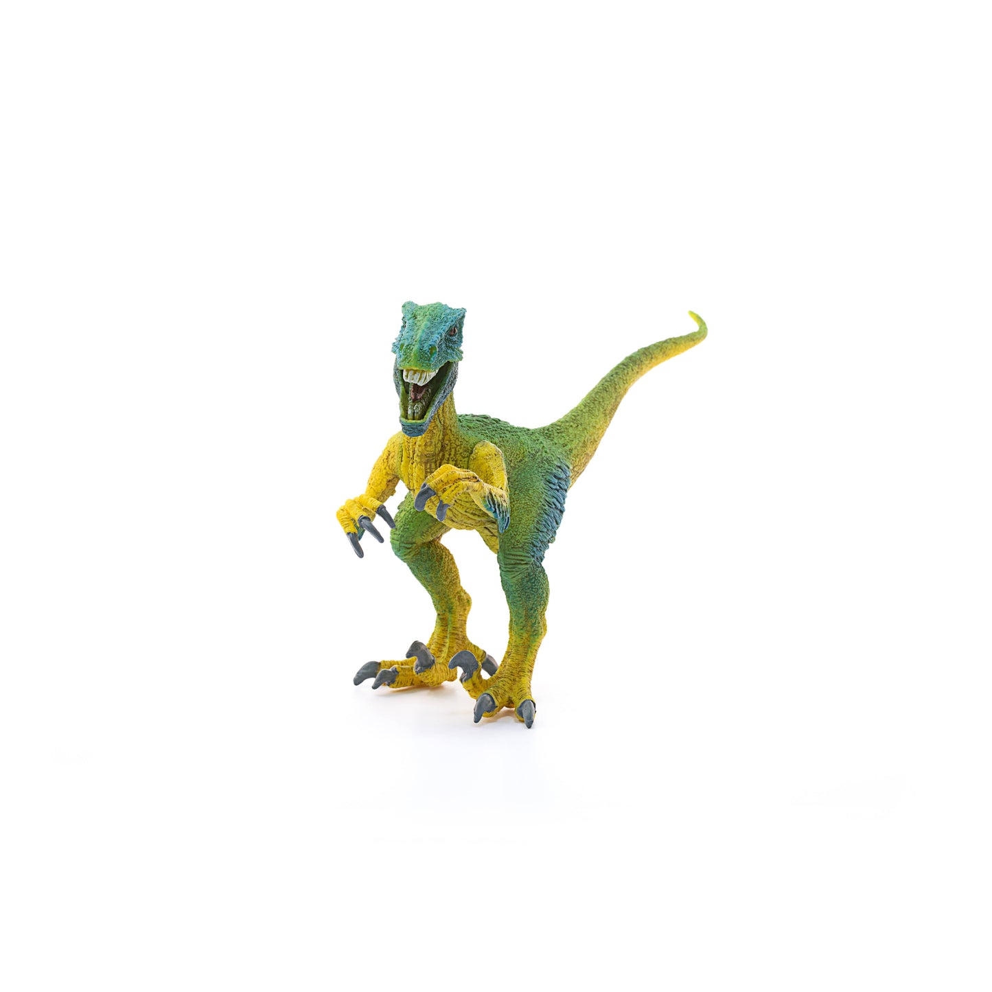 Velociraptor