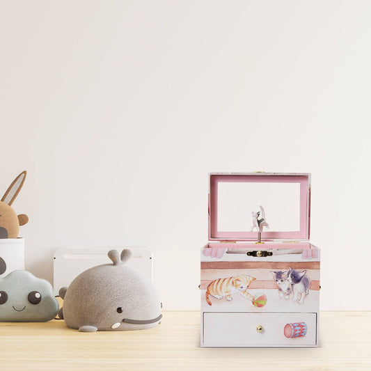 Curious Kittens Music Box
