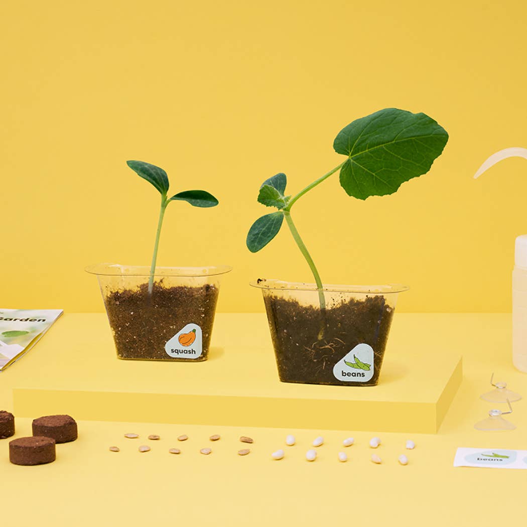 Window Garden DIY Growing Plant Kit for Kids