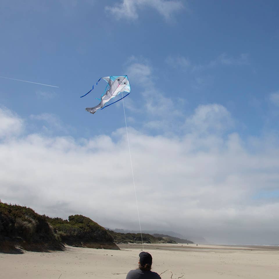 Dolphin 45" Fly-Hi Kite