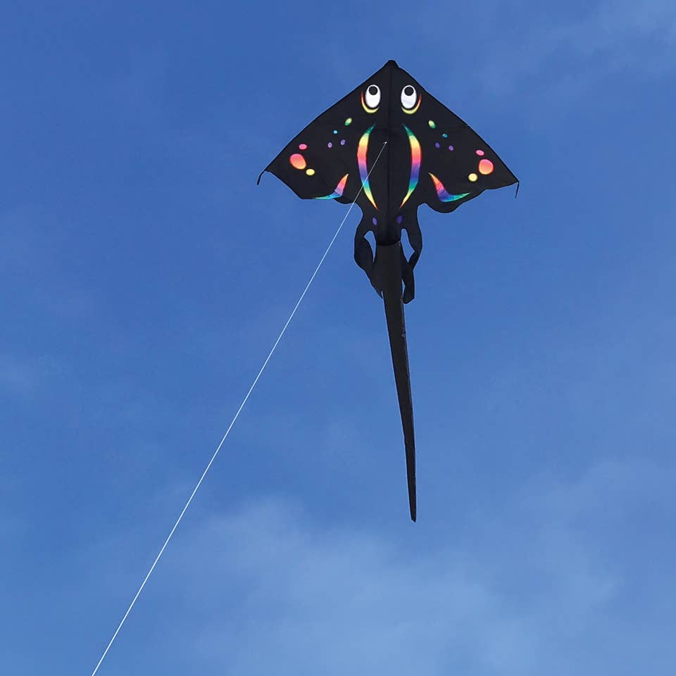 Black Stingray Kite