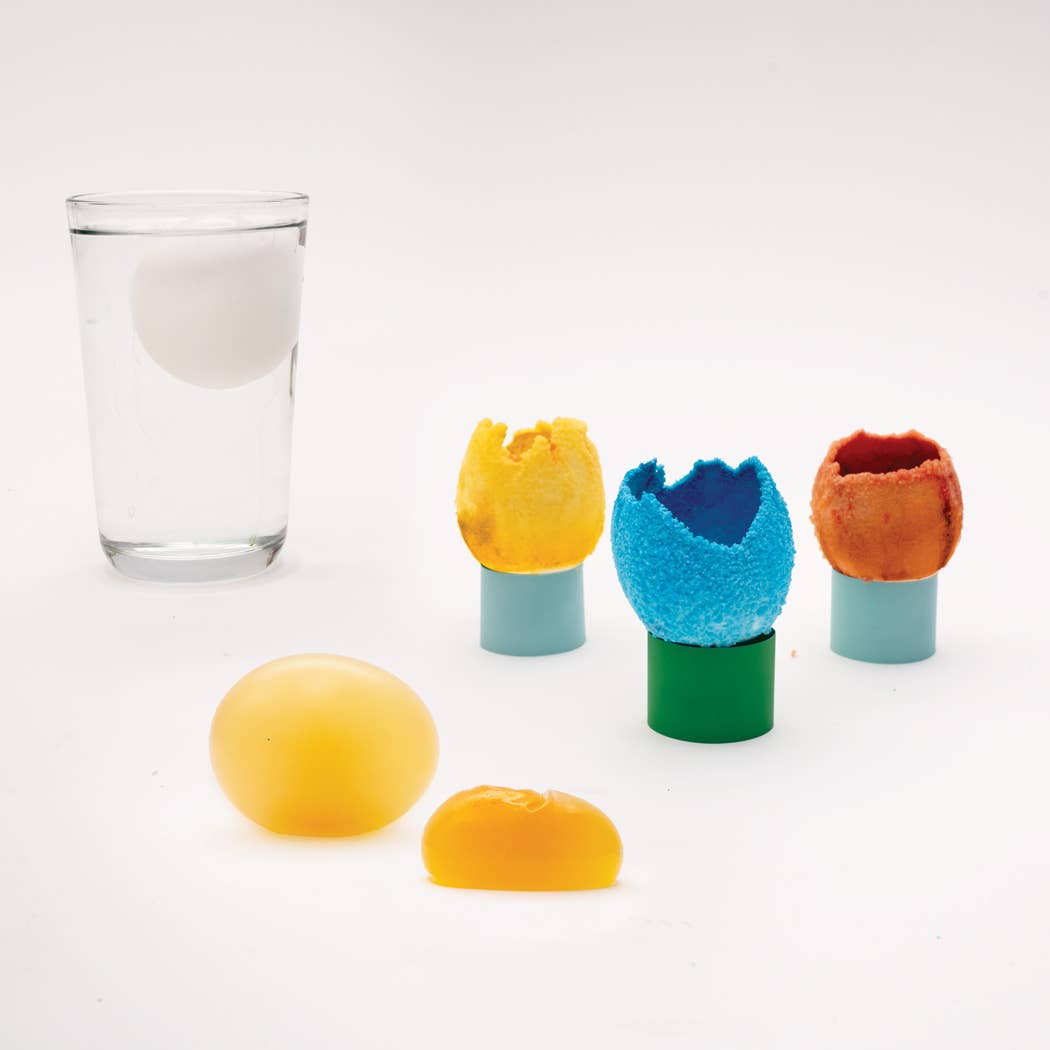 Eggsperiments, DIY Egg Experiment Kit for Kids