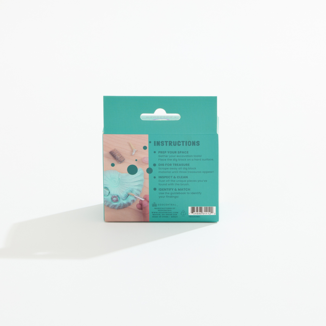 Ocean Treasure Dig Kit – STEAM Children’s Enrichment