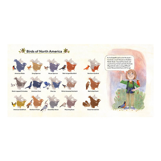 Birds Have A Lot to Say Picture Book for Children
