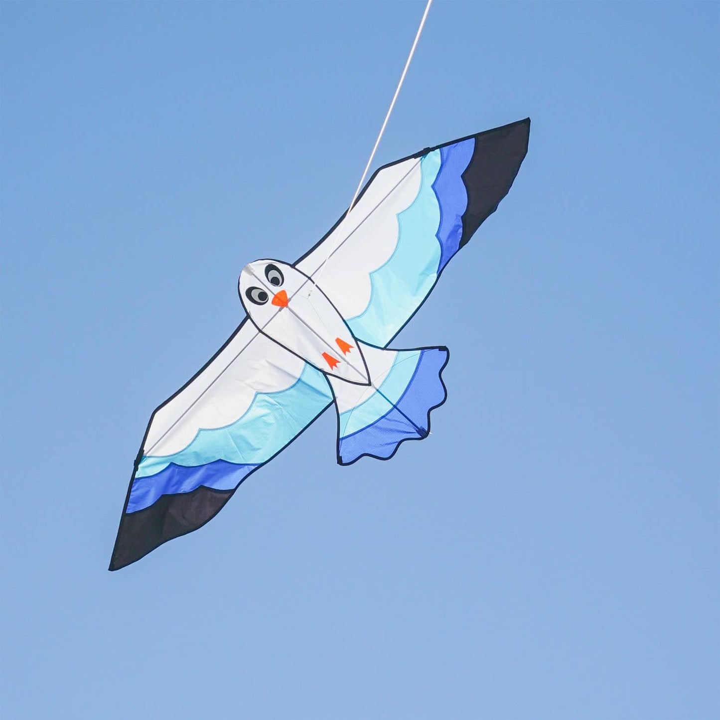 70" Blue Seabird Kite