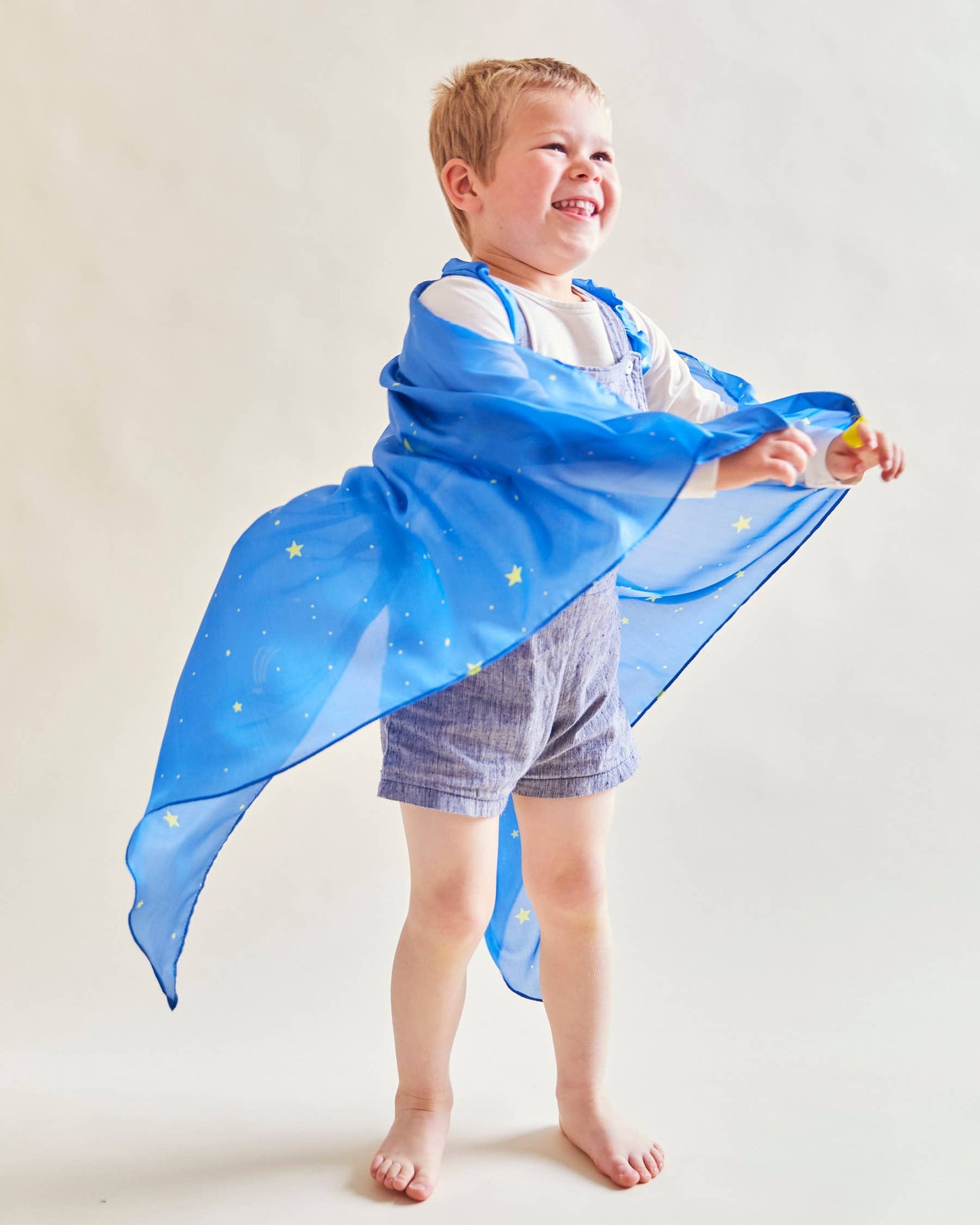 Star Fairy Wings