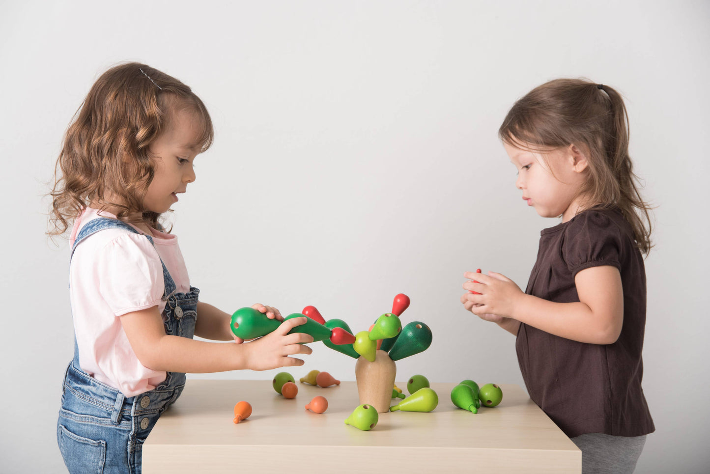 Balancing Cactus - Wood Toy
