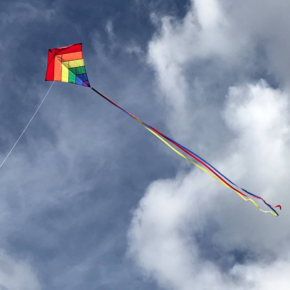 Rainbow Overlay 30" Diamond Kite