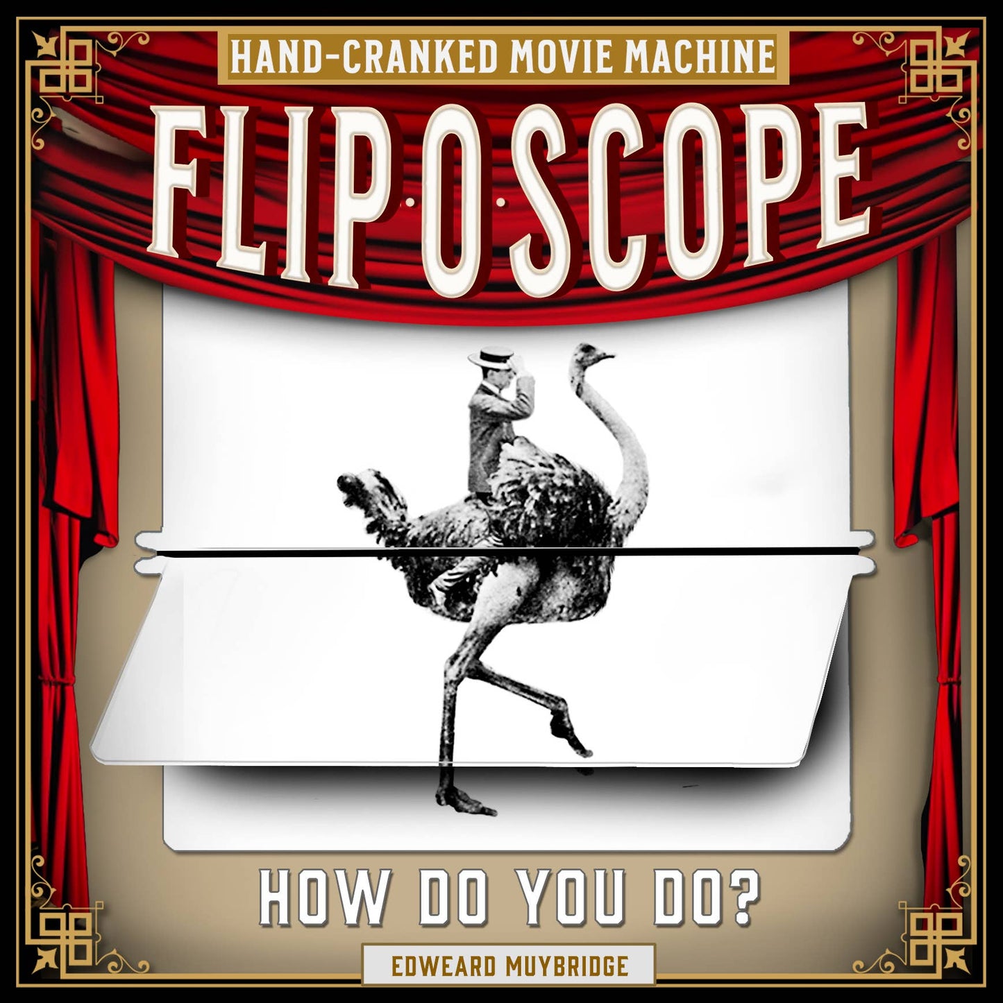 Fliposcope Ostrich - DIY FlipBook Keepsake / Movie Machine