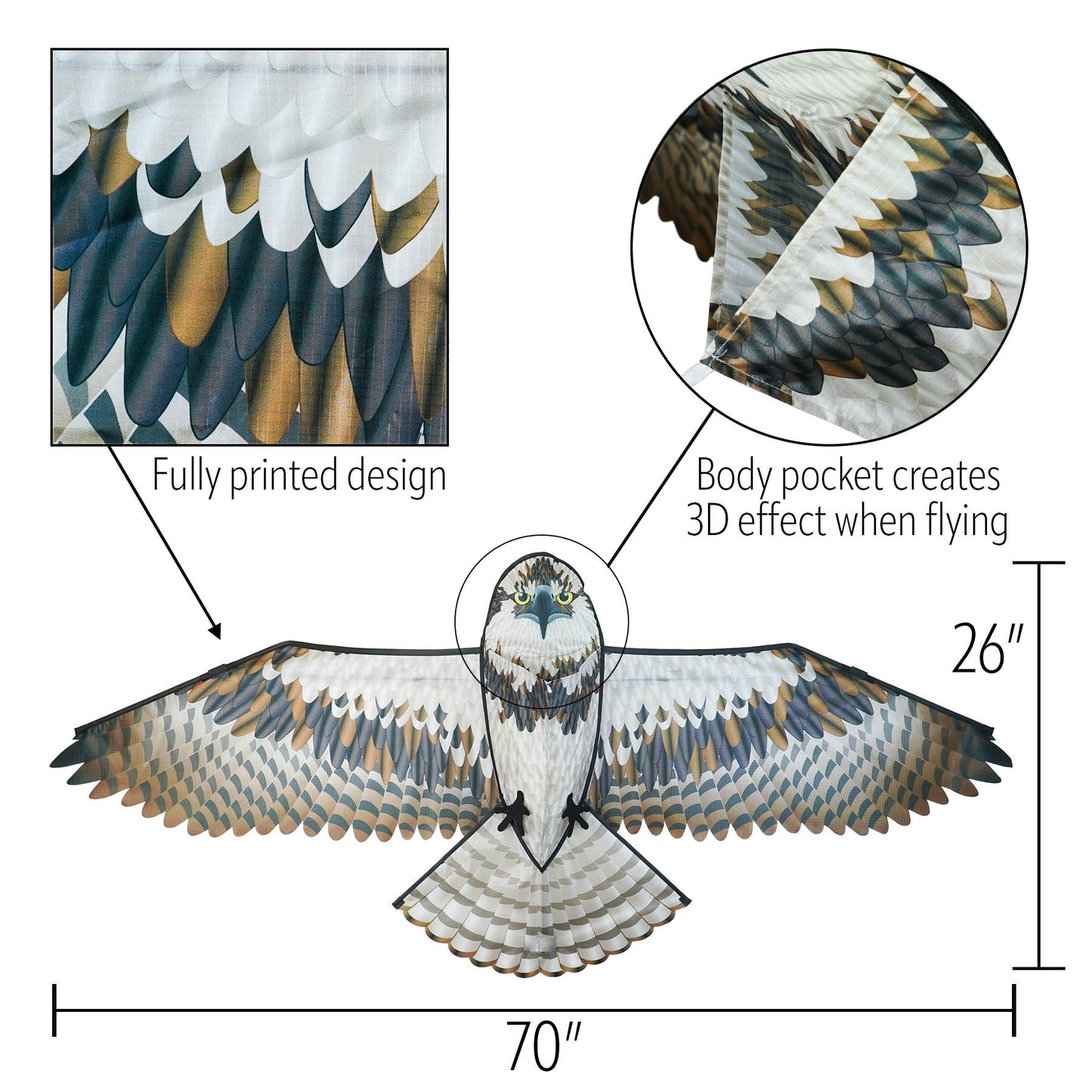 70" Osprey Kite