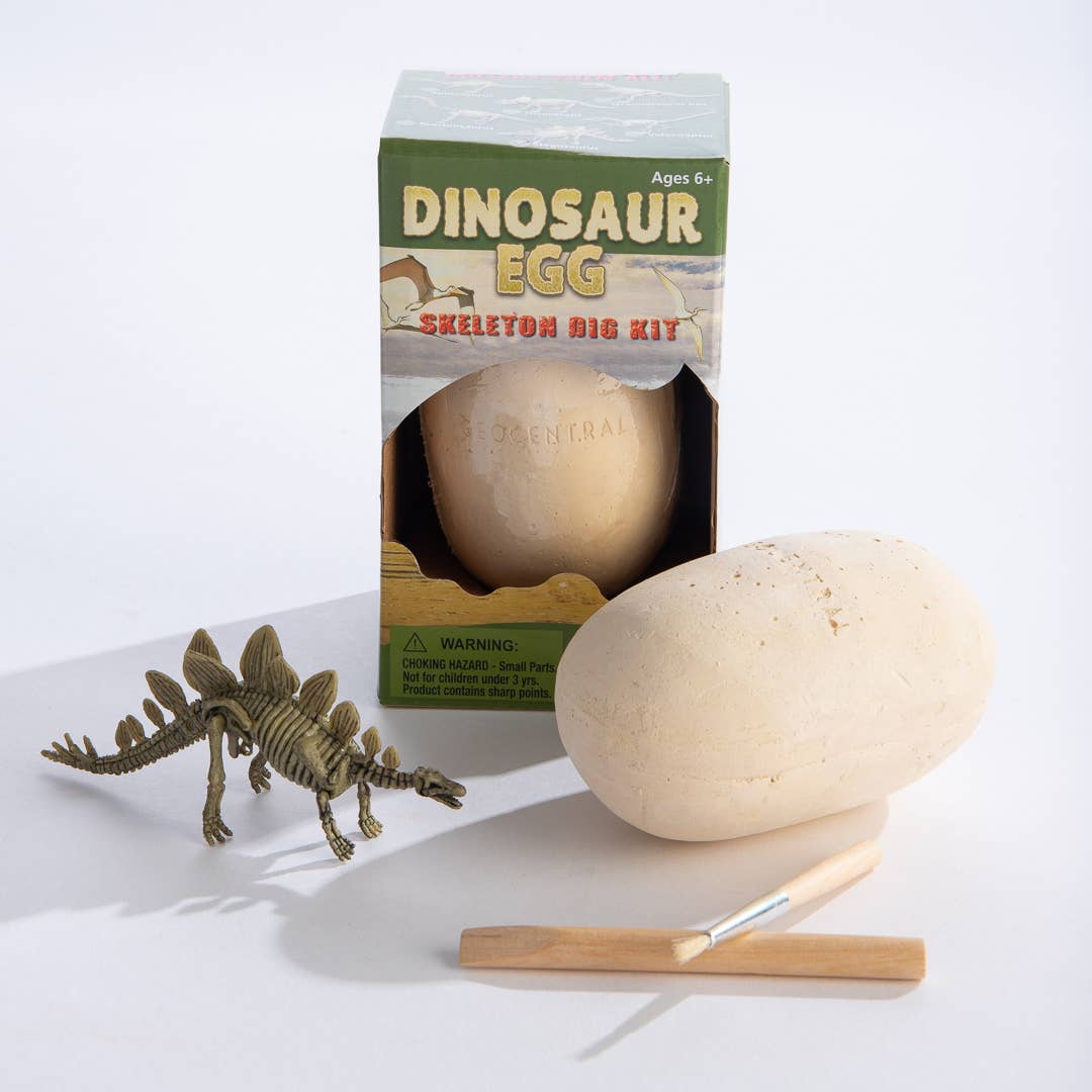 Dig Kit: Dinosaur Egg with Skeleton