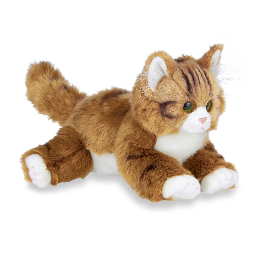 Manny the Maine Coon Cat