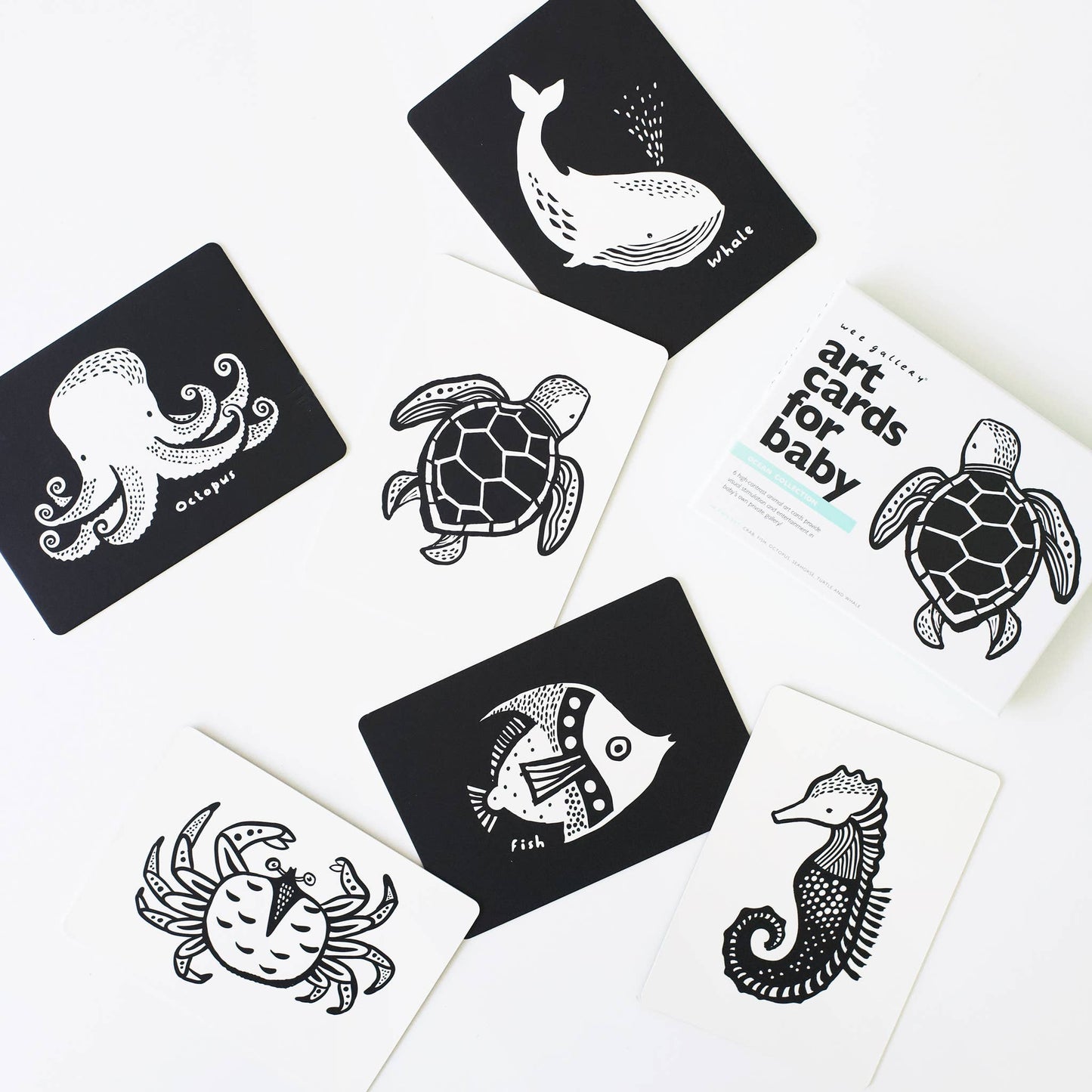 Art Cards for Baby - Ocean