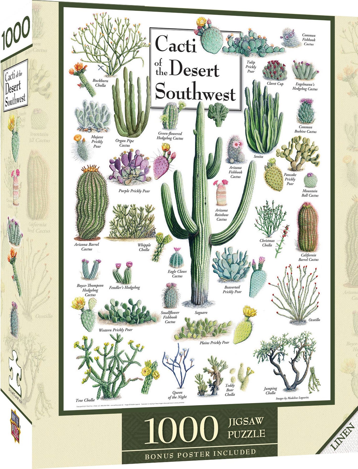 Cacti of the Desert Southwest 1000 Piece Puzzle