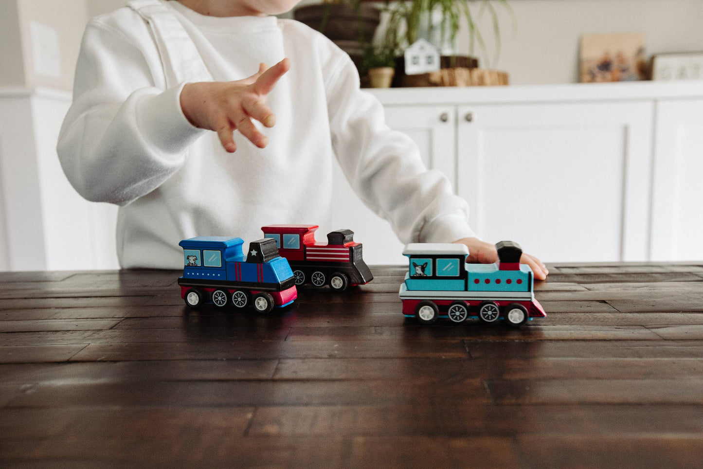 Pull Back Train (Quantity 1)
