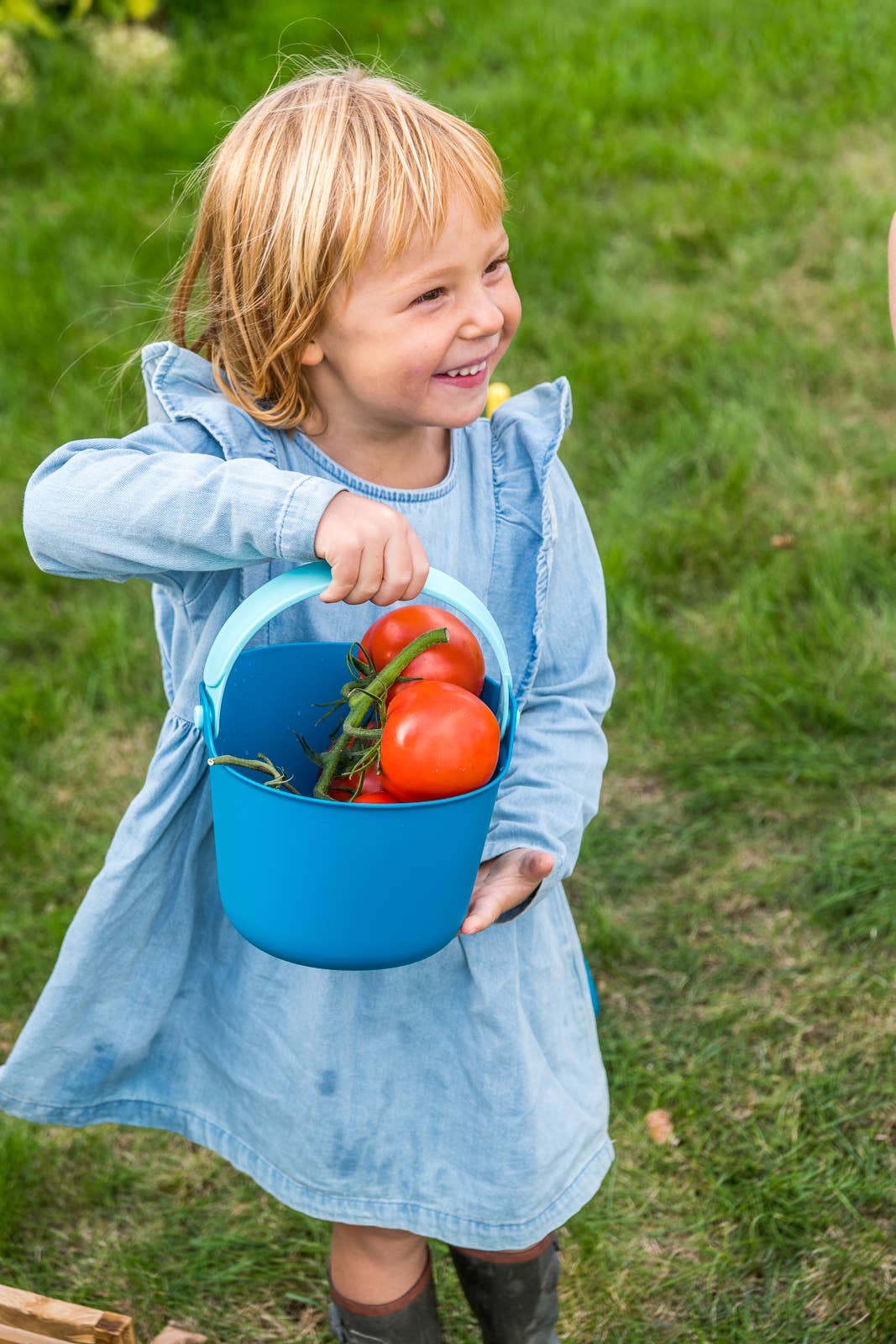 Bucki - Bucket & Sand Sifter. Cherry