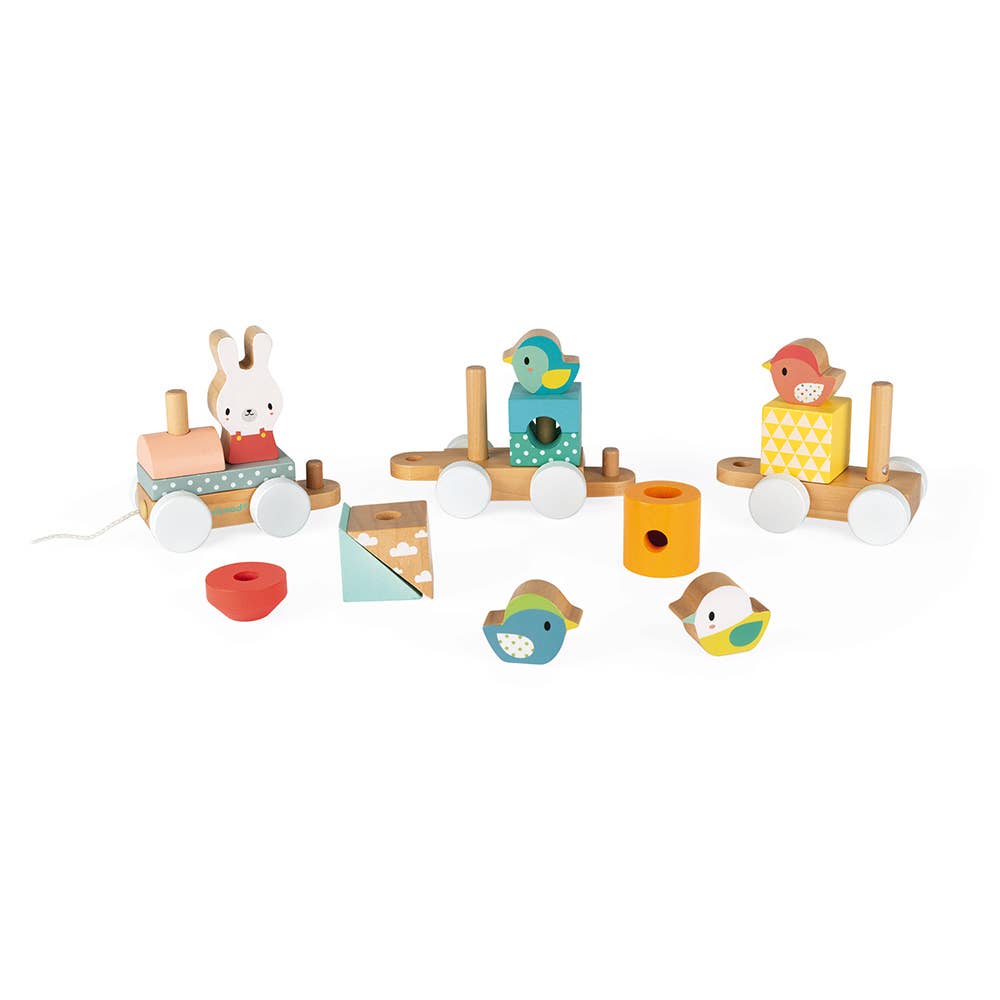 Pure | Train | Pull along | 17 pieces