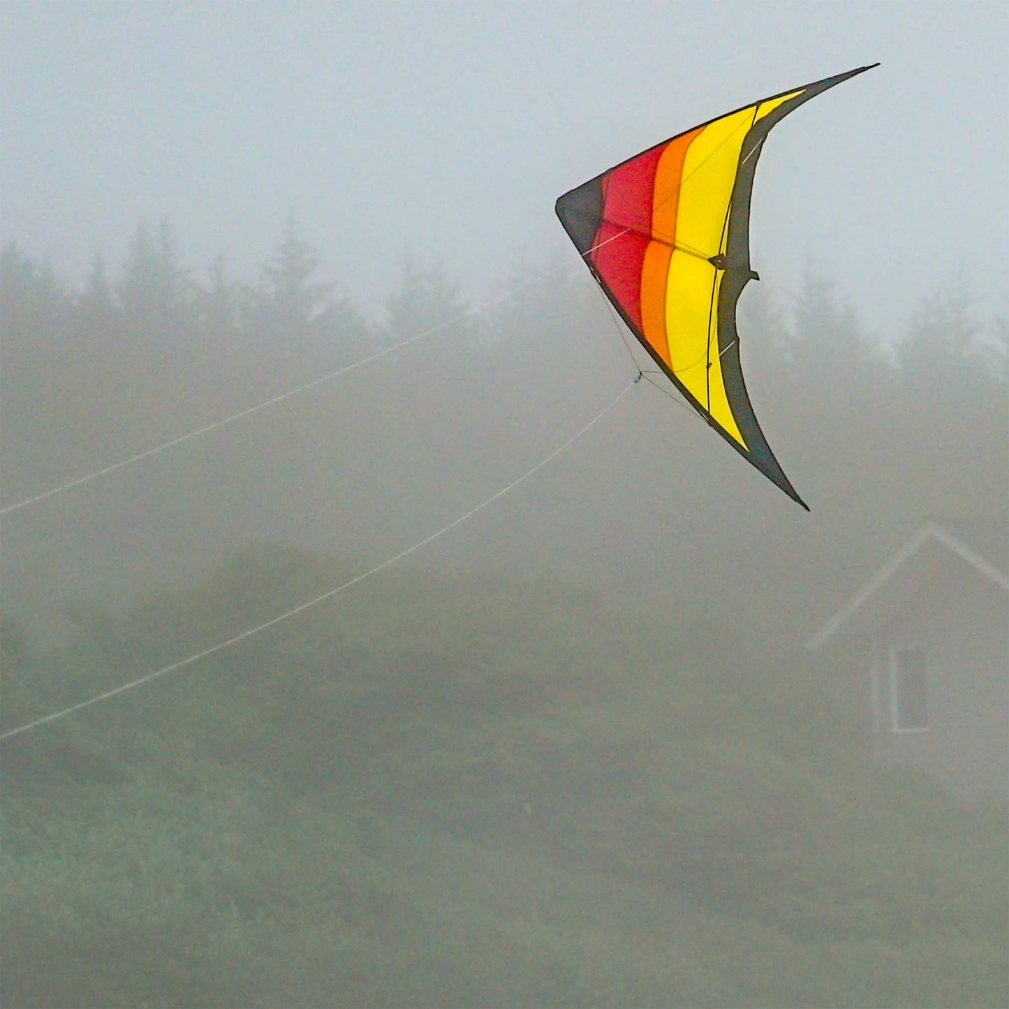 Sunset 55" Sport Kite