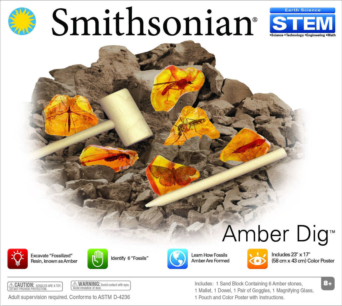 Smithsonian Amber Dig
